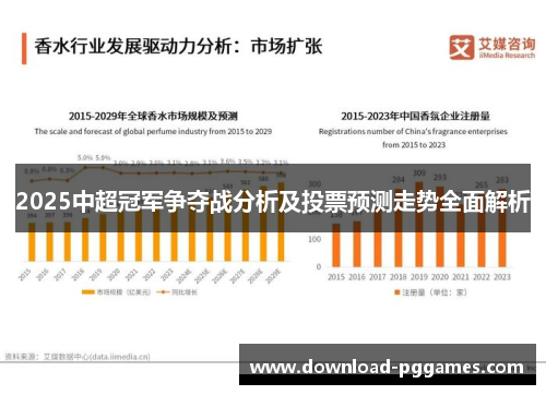 2025中超冠军争夺战分析及投票预测走势全面解析