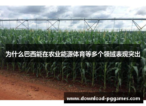 为什么巴西能在农业能源体育等多个领域表现突出