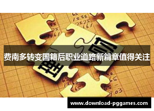 费南多转变国籍后职业道路新篇章值得关注