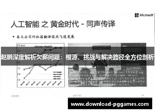 赵鹏深度解析欠薪问题：根源、挑战与解决路径全方位剖析