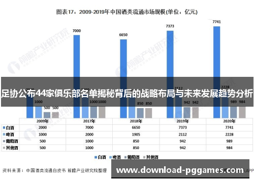 足协公布44家俱乐部名单揭秘背后的战略布局与未来发展趋势分析