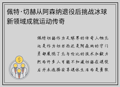 佩特·切赫从阿森纳退役后挑战冰球新领域成就运动传奇
